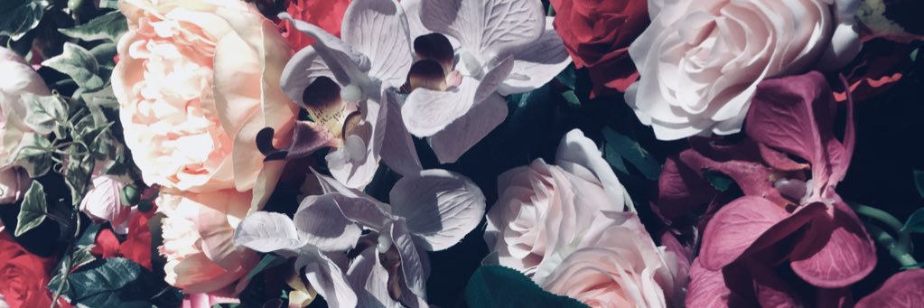 Giulia Villanucci banner