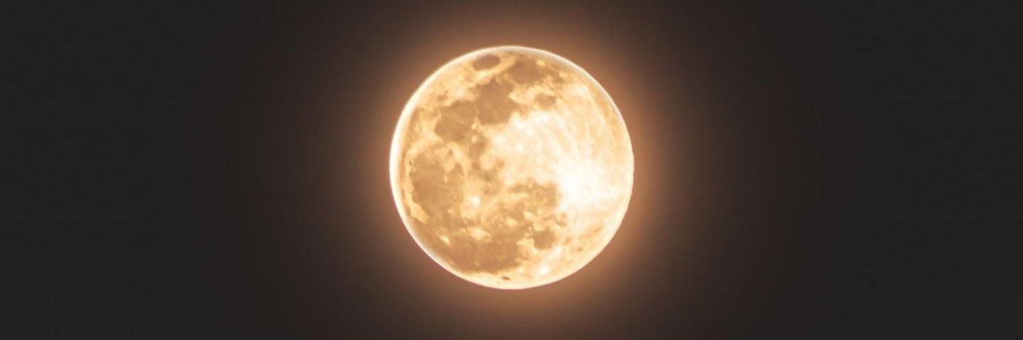 Xiao_Panda92's profile banner image