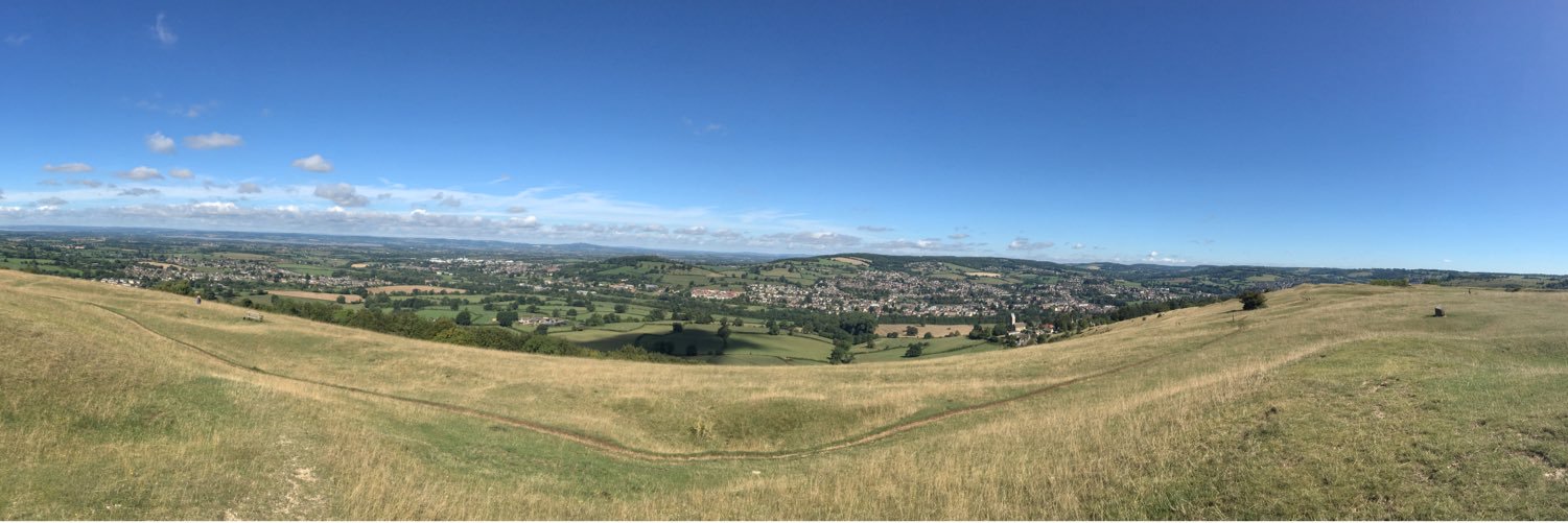 Miranda Williams banner