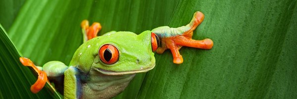 MichLaverick Profile Banner