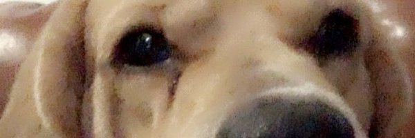 shubhaS Profile Banner