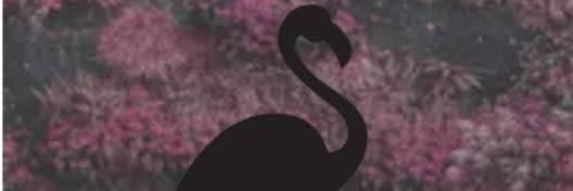 MoodyMahem's profile banner image