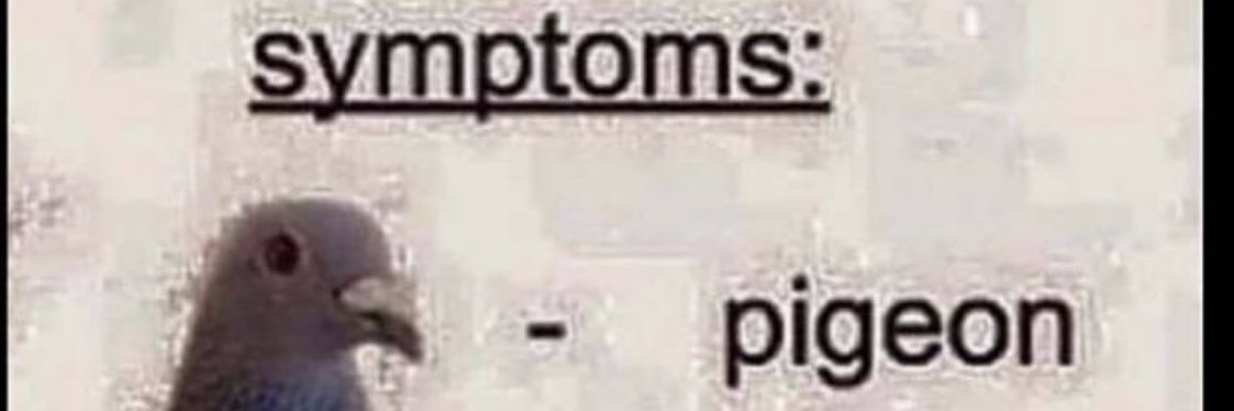 Cornucopia Jones banner