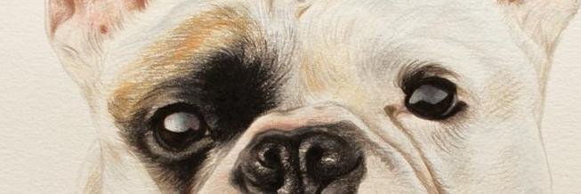 Pipo_Galan's profile banner image