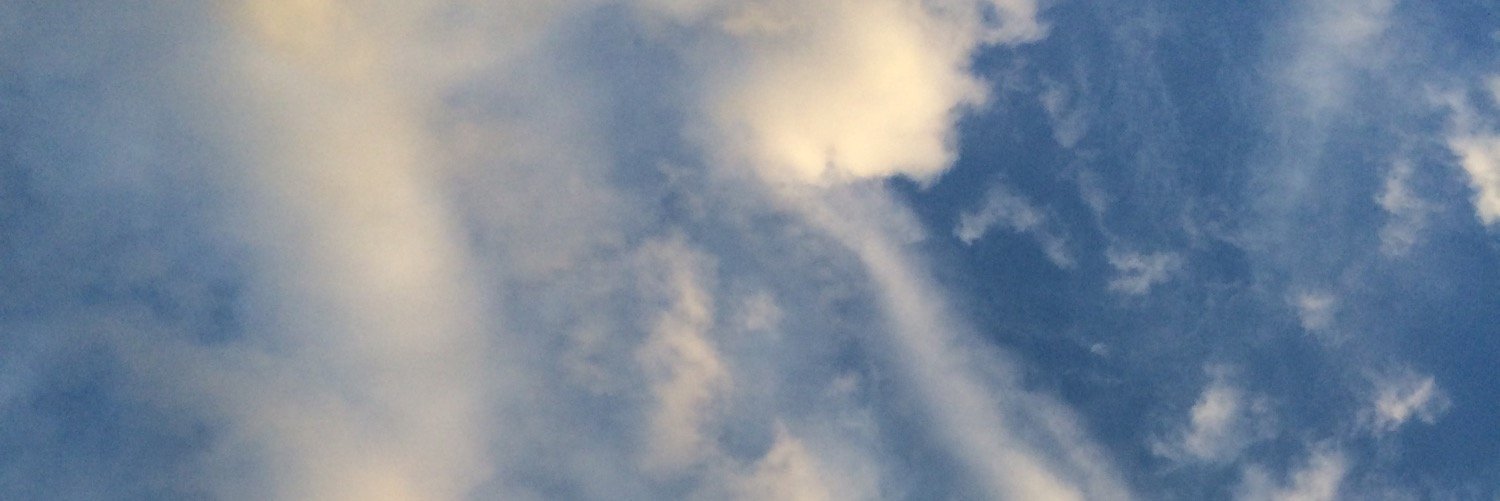 dashamaynes's profile banner image