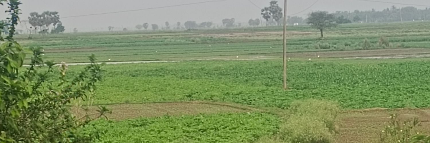 Anas Sk banner