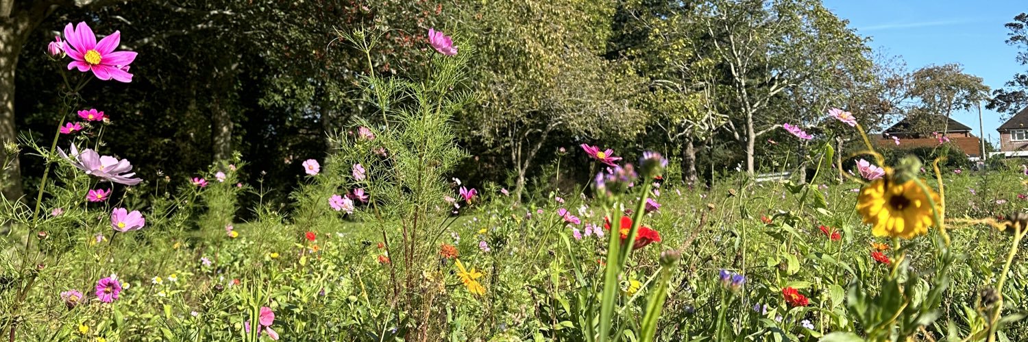 TheWiseFoster's profile banner image