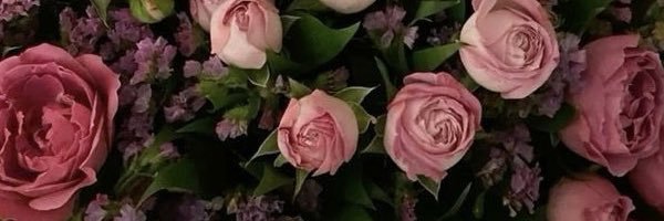 밍또 banner
