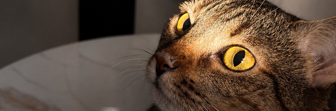 pi71701's profile banner image