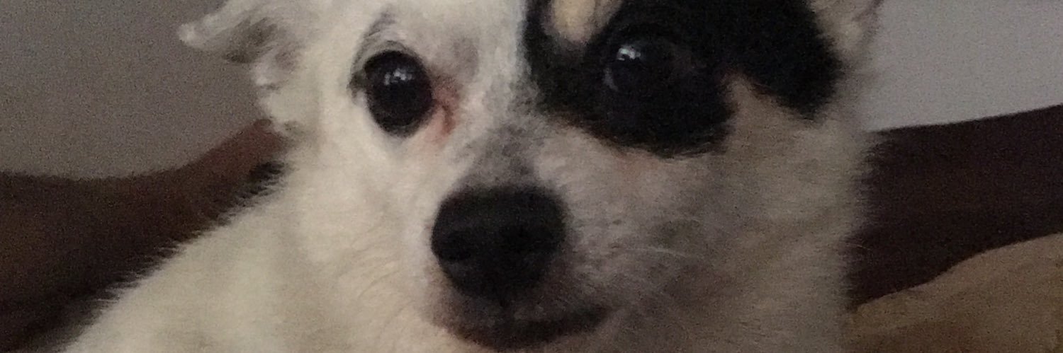 Sexbomb Lez ✨ banner