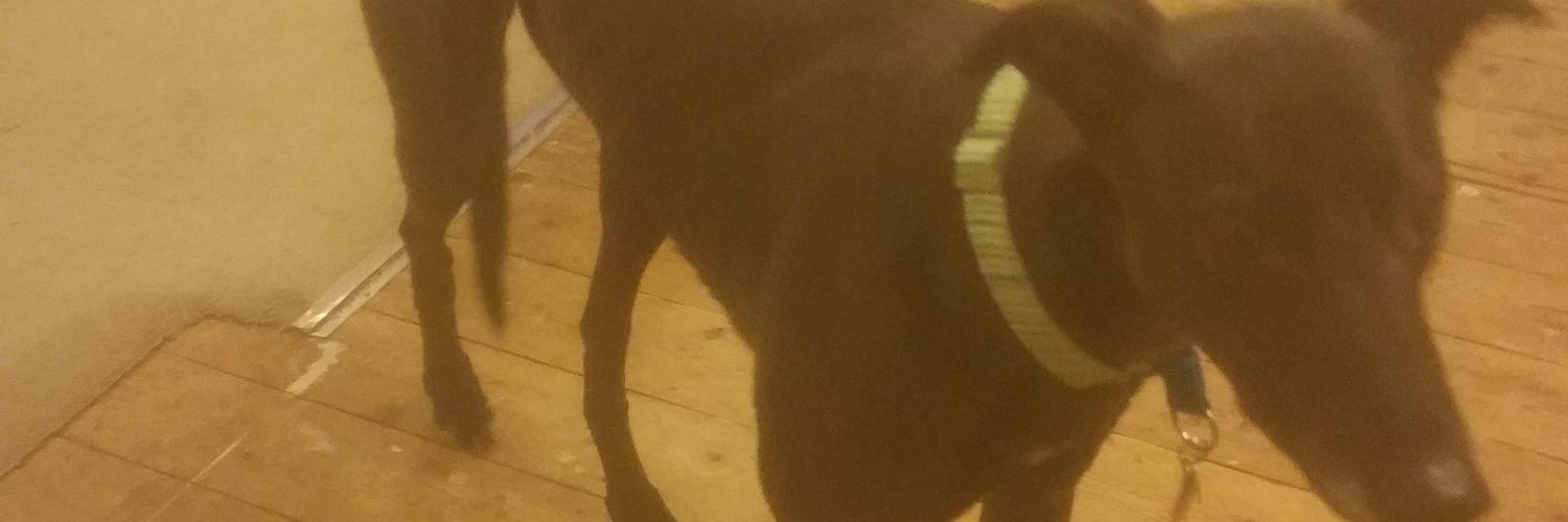 fatmanthindog's profile banner image
