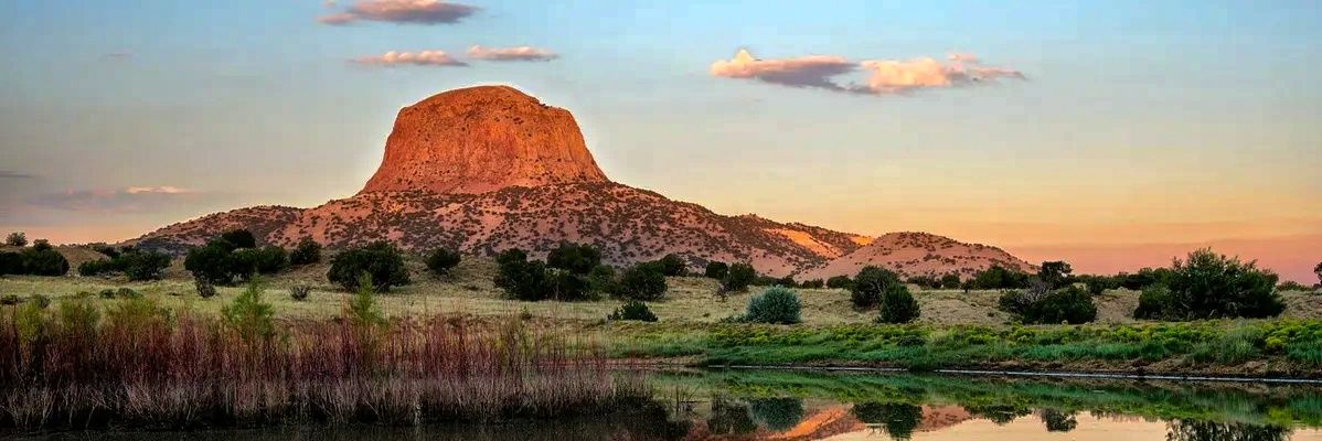 Ganjasaurs Rex VT banner