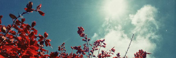 srimoy_b Profile Banner