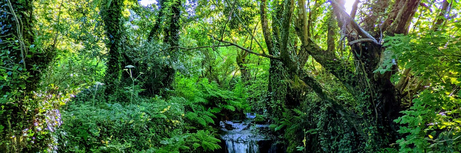 Ben Sharman 🇺🇦🇵🇸 banner