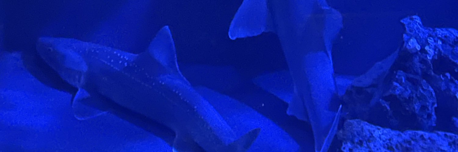 全てが終わるまで banner