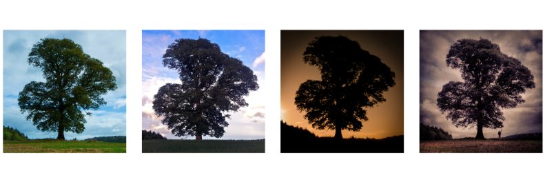 Seamus Ó Suilleabháin banner