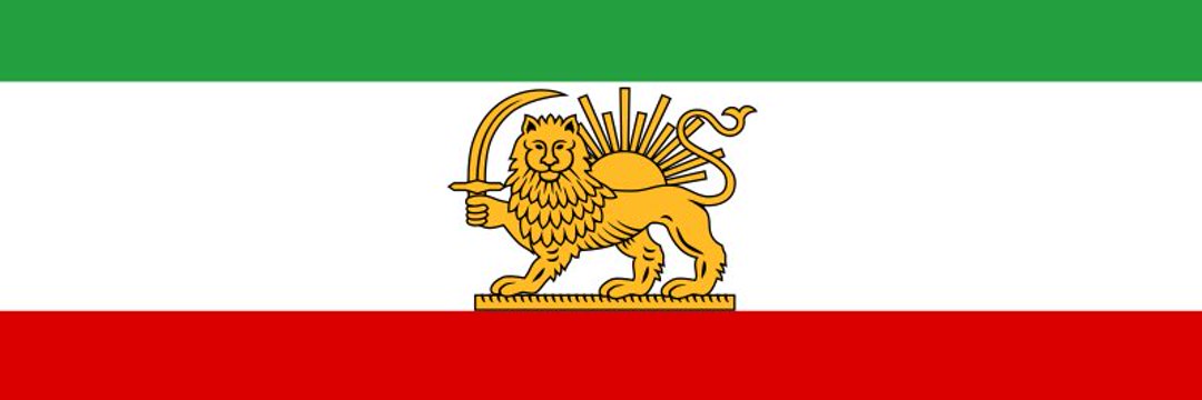 Mohsen Shariati banner