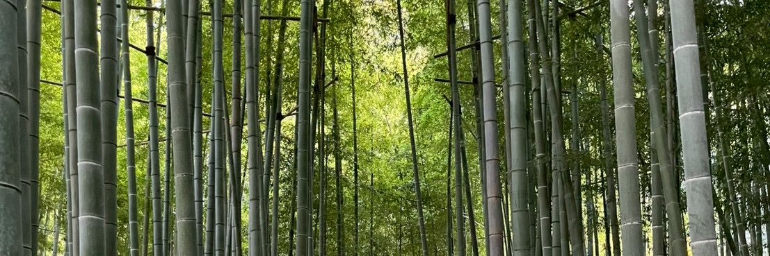 ついのすみか banner