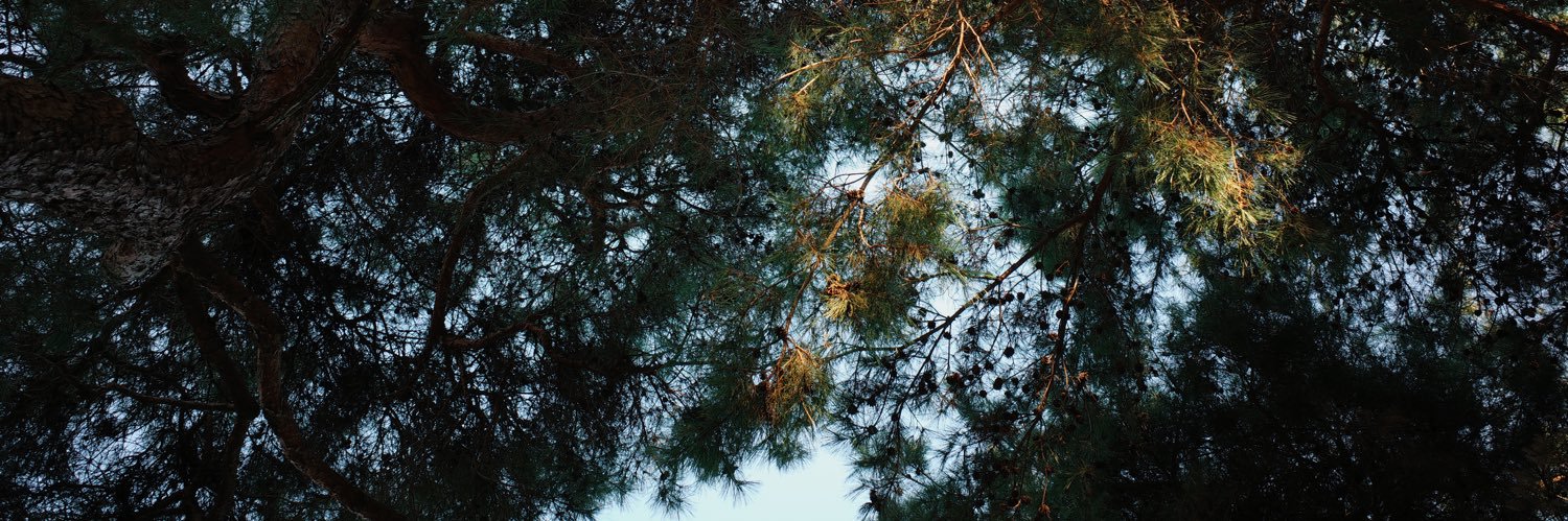 mdridley's profile banner image