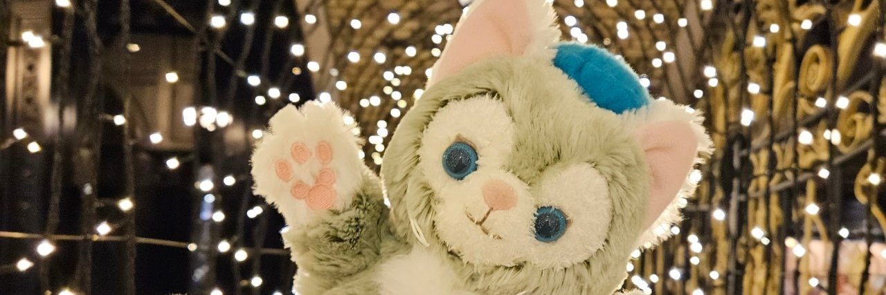 akipanda1120's profile banner image