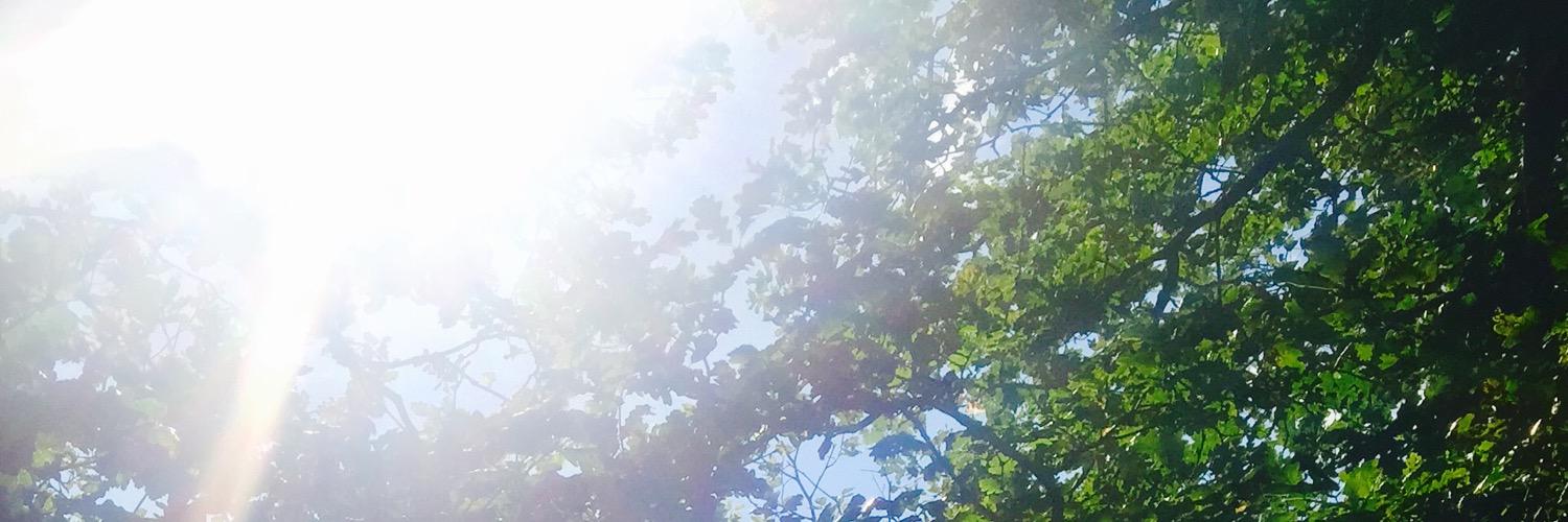 Beksville's profile banner image