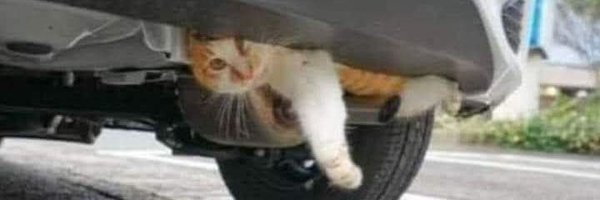 elif2qx Profile Banner