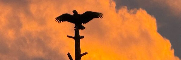 KGinIowaTake2 Profile Banner