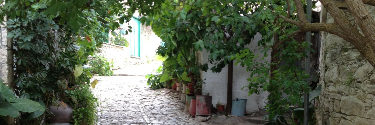 chchristou7's profile banner image
