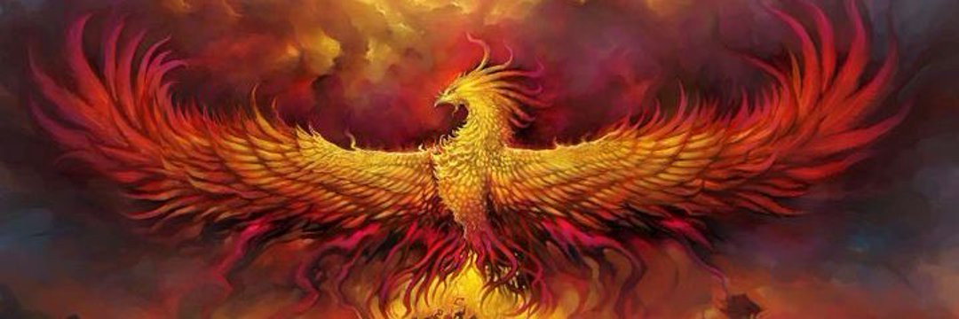 zi15zy's profile banner image