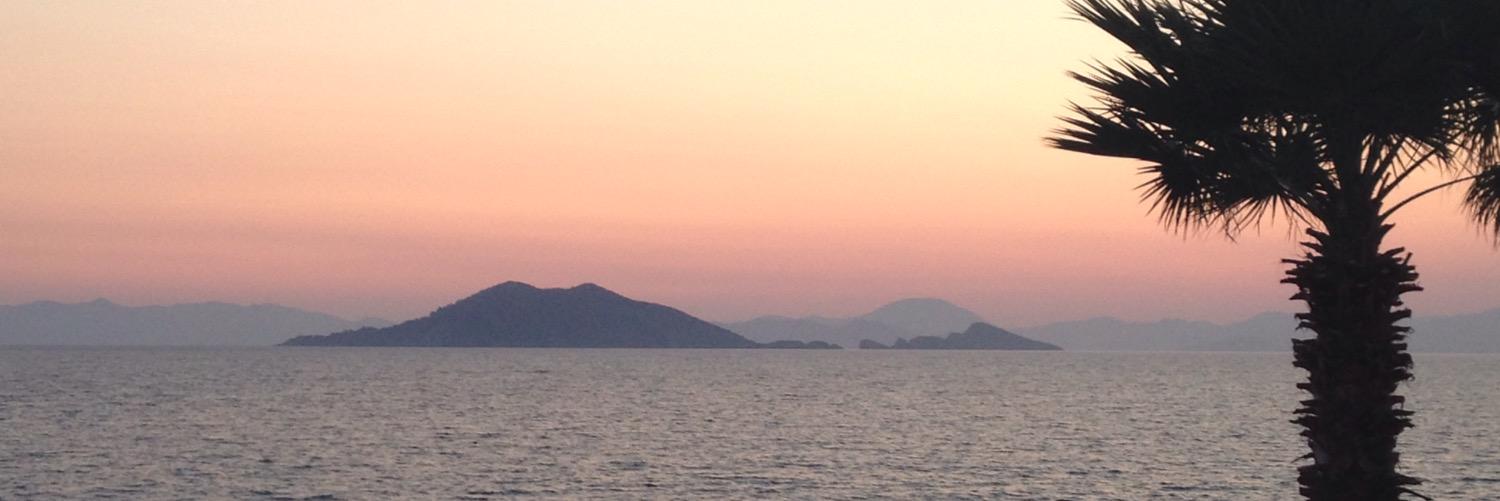 nuttynat1978's profile banner image