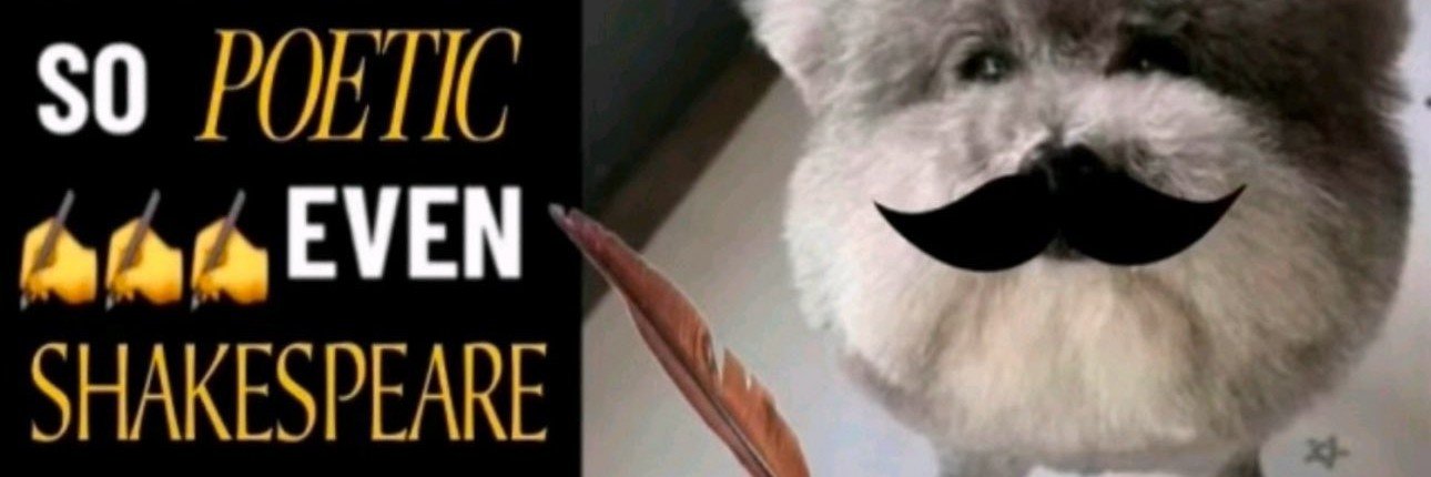 RankerofTweets's profile banner image