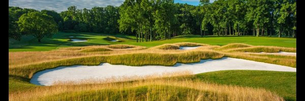 SpiderBriller Profile Banner