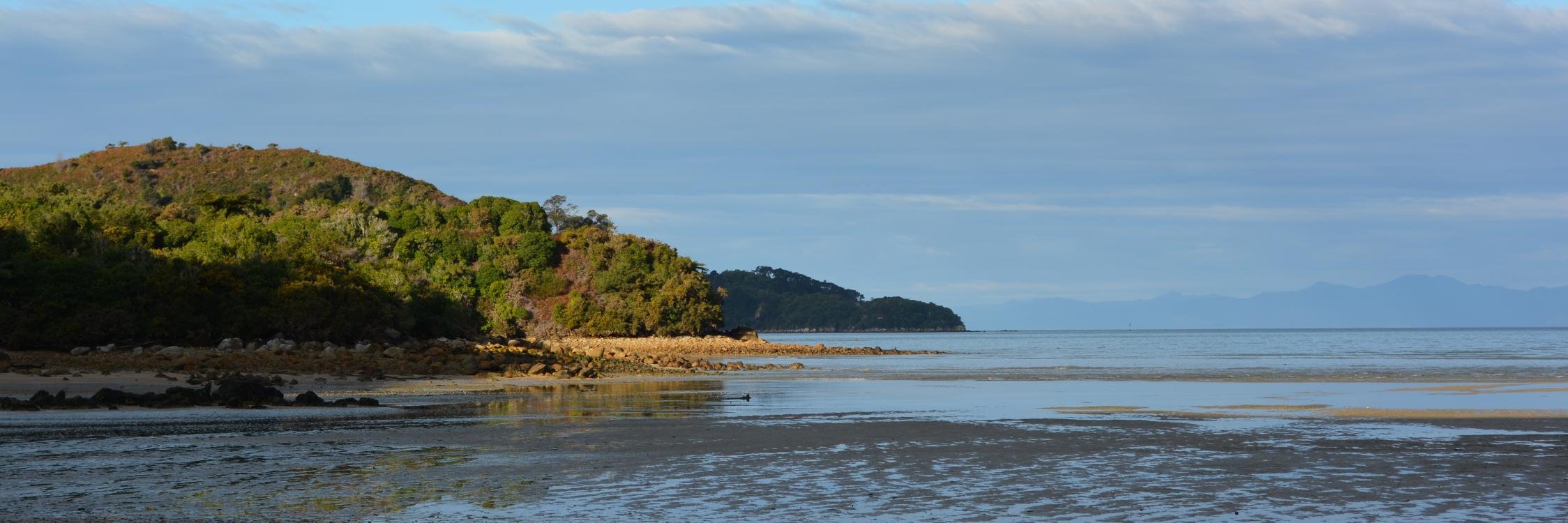 a0085913's profile banner image