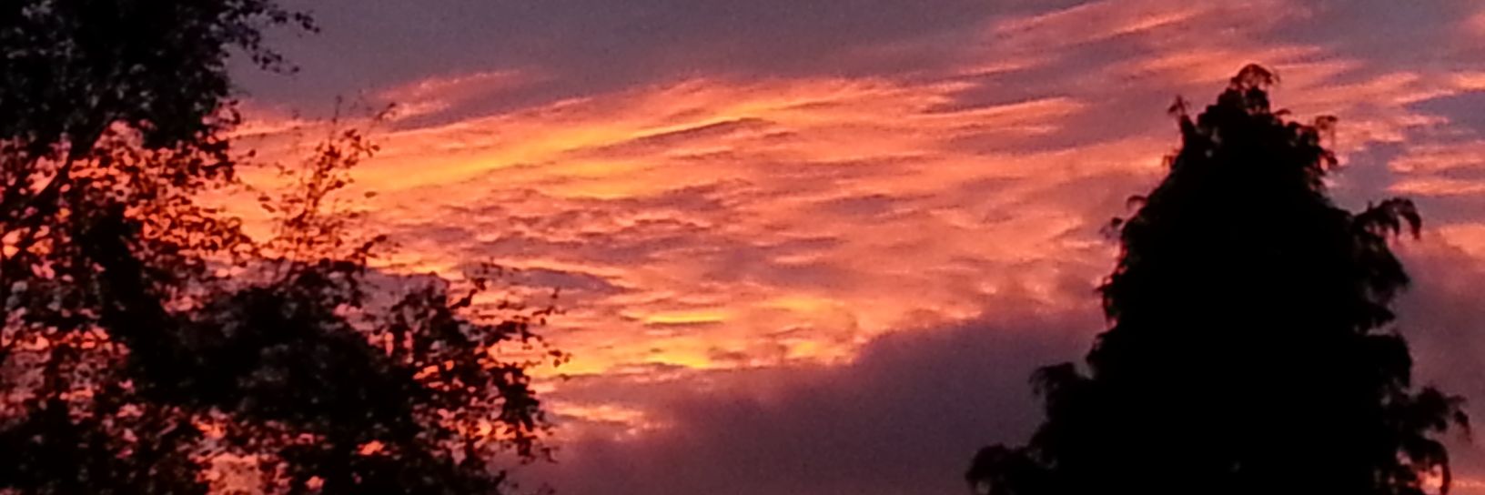 katt abos 💙 🇺🇦 banner