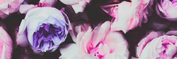 ericadempsey's profile banner image