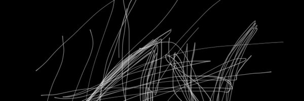 mimosa2725 Profile Banner