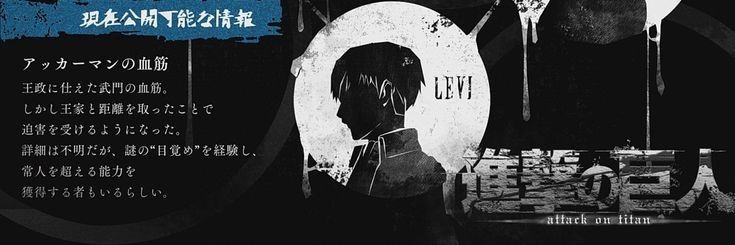 Levi Ackerman banner