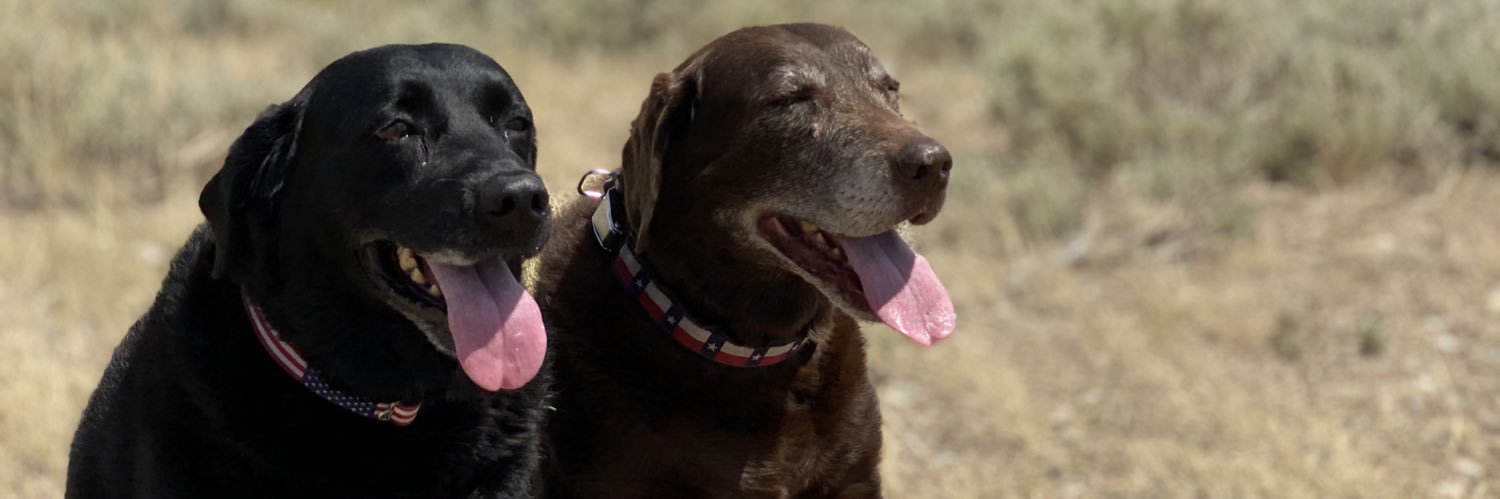Chhtexas's profile banner image