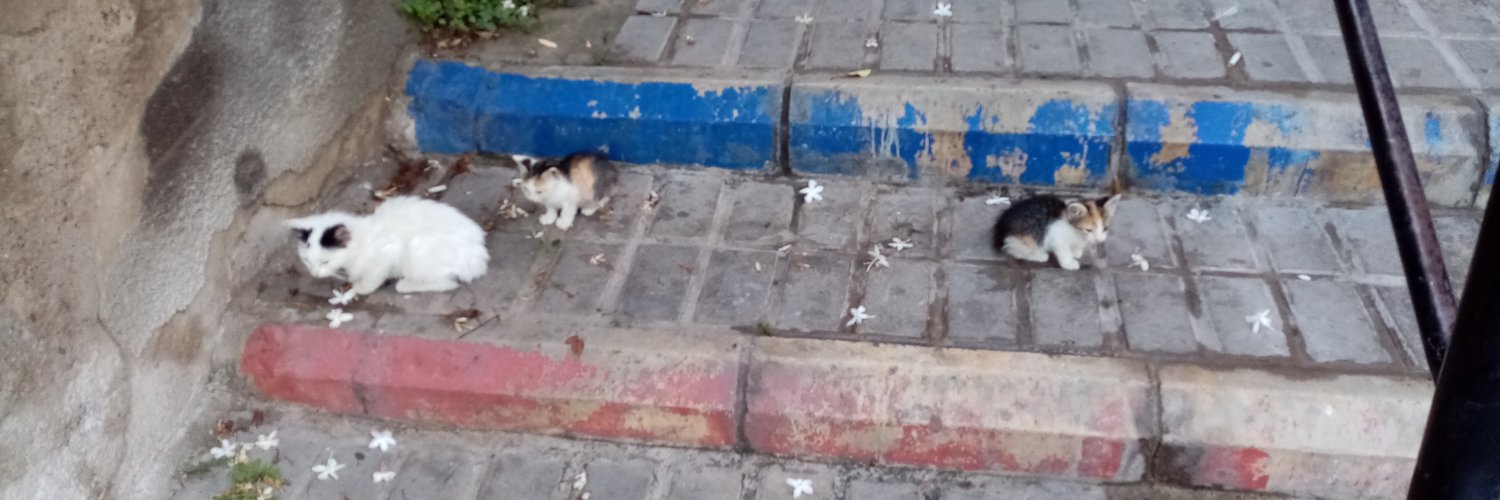 YUVA ARIYORUZ banner