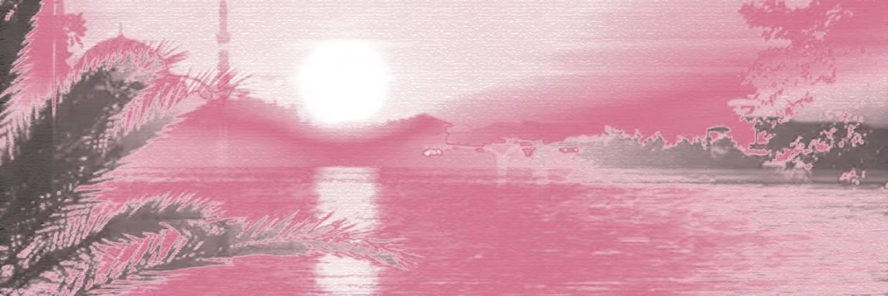 WanYu19200's profile banner image