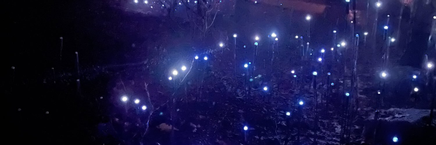 nat_arii's profile banner image