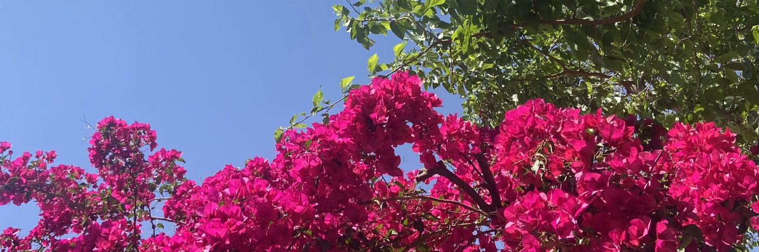 clemenchina's profile banner image