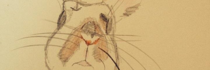 jrs_9's profile banner image