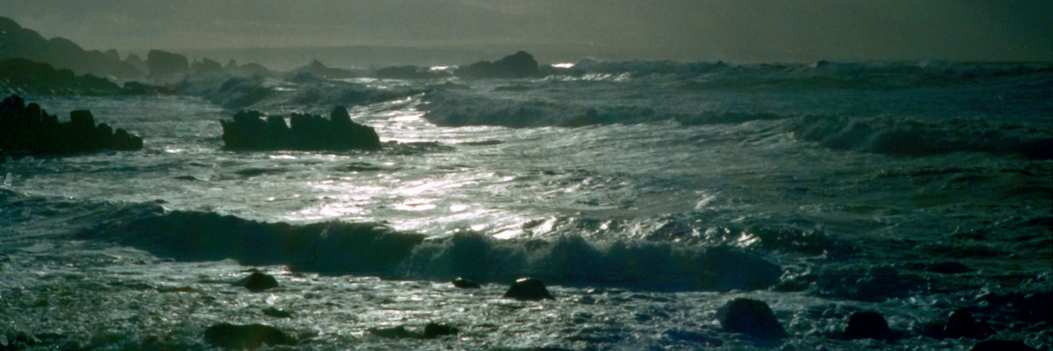 Arabella Sock banner