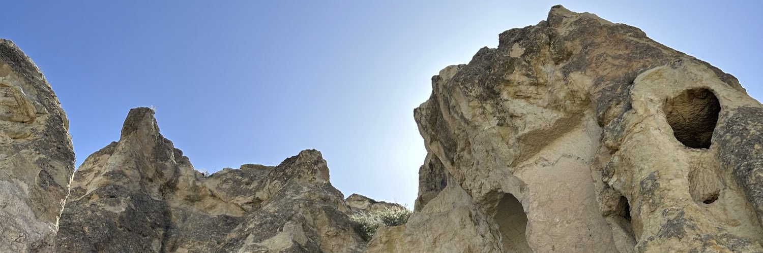 dacci_sus's profile banner image