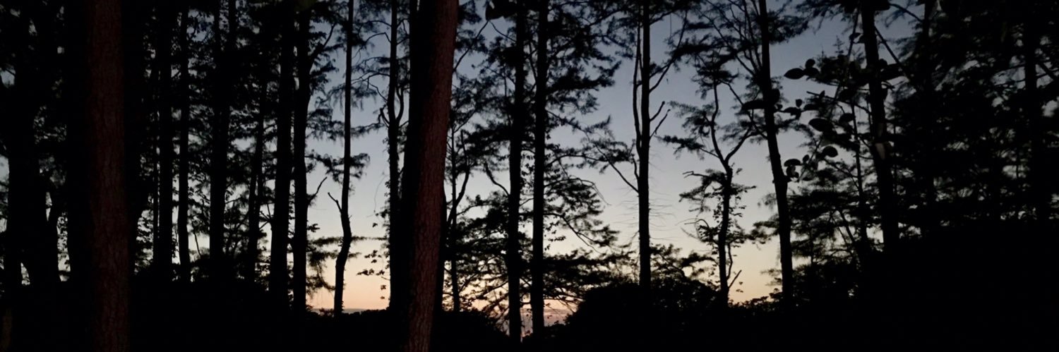 CapeFearMike's profile banner image