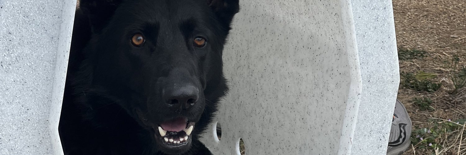 Akridbeast's profile banner image