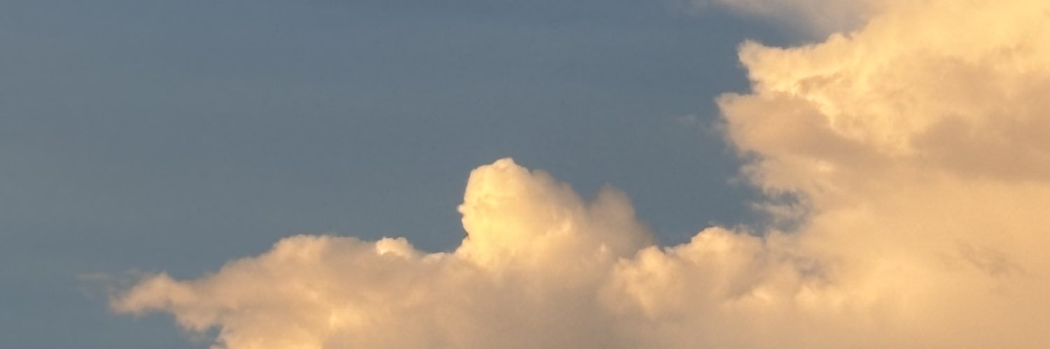 め banner