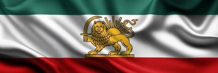 Samaneh Biglari banner