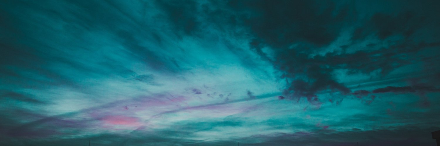 loonysku's profile banner image